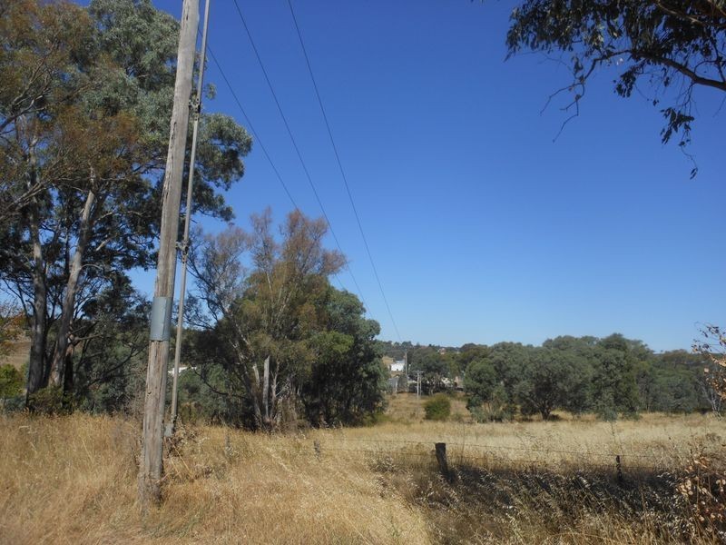 1 Browns Lane, Young NSW 2594