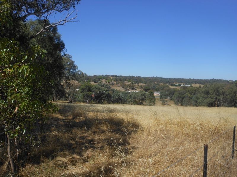 1 Browns Lane, Young NSW 2594