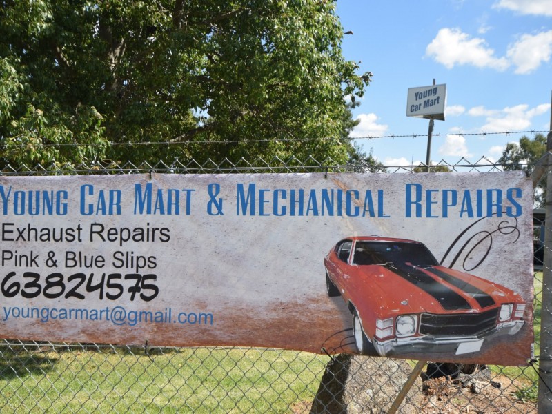 91 Chillingworks Road, Young NSW 2594