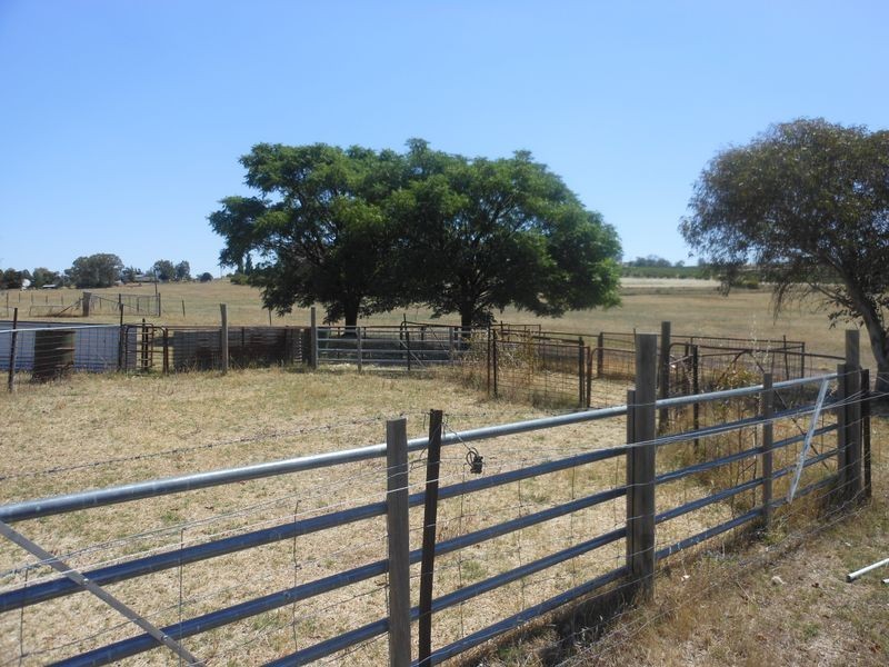 234 Bribbaree Road, Young NSW 2594