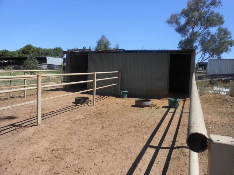 234 Bribbaree Road, Young NSW 2594