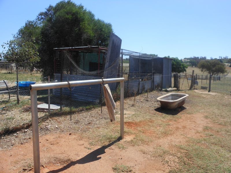 234 Bribbaree Road, Young NSW 2594