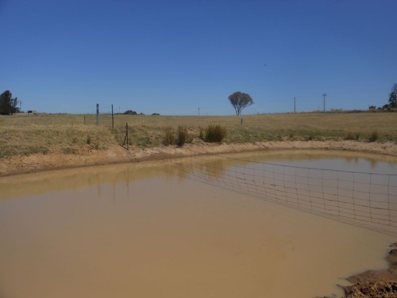 234 Bribbaree Road, Young NSW 2594