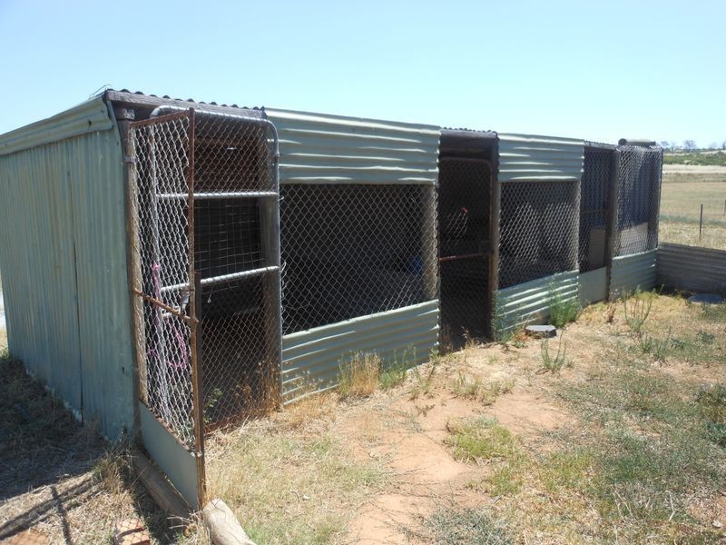 234 Bribbaree Road, Young NSW 2594