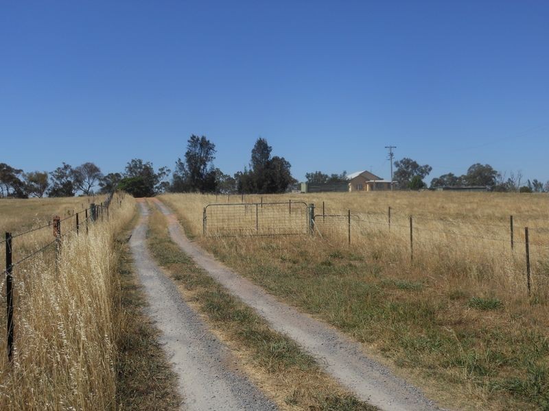 234 Bribbaree Road, Young NSW 2594