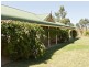 2407 Murringo Road, Young NSW 2594