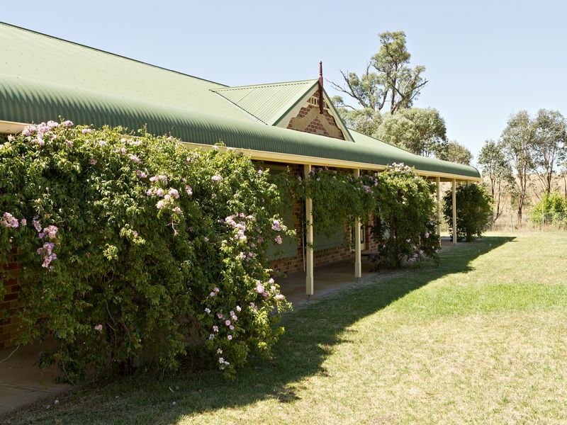 2407 Murringo Road, Young NSW 2594