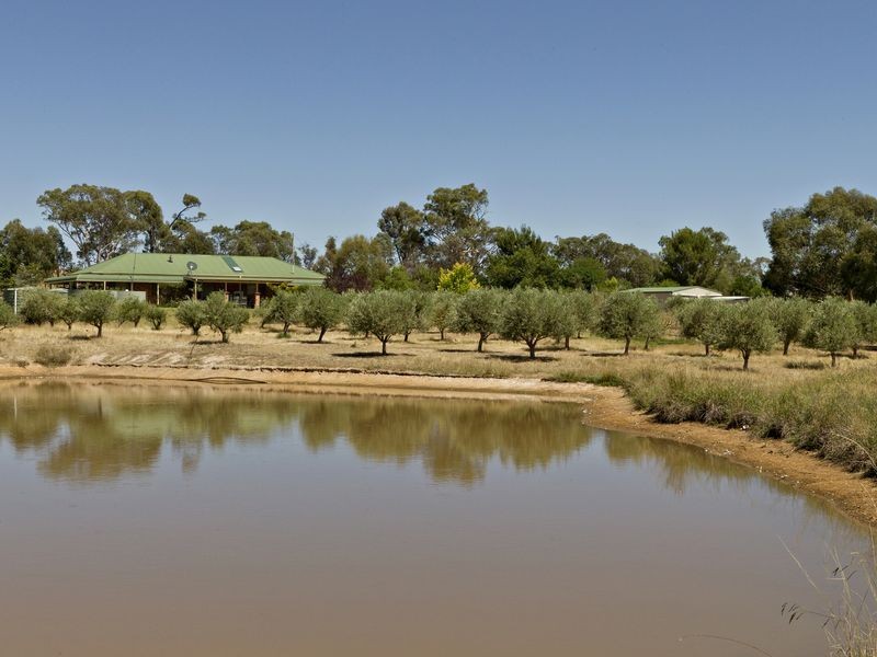 2407 Murringo Road, Young NSW 2594