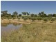 2407 Murringo Road, Young NSW 2594
