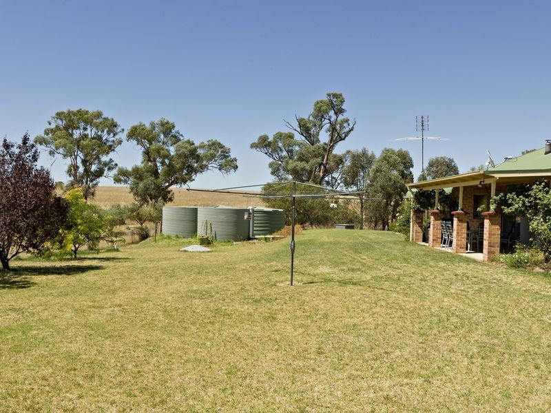 2407 Murringo Road, Young NSW 2594
