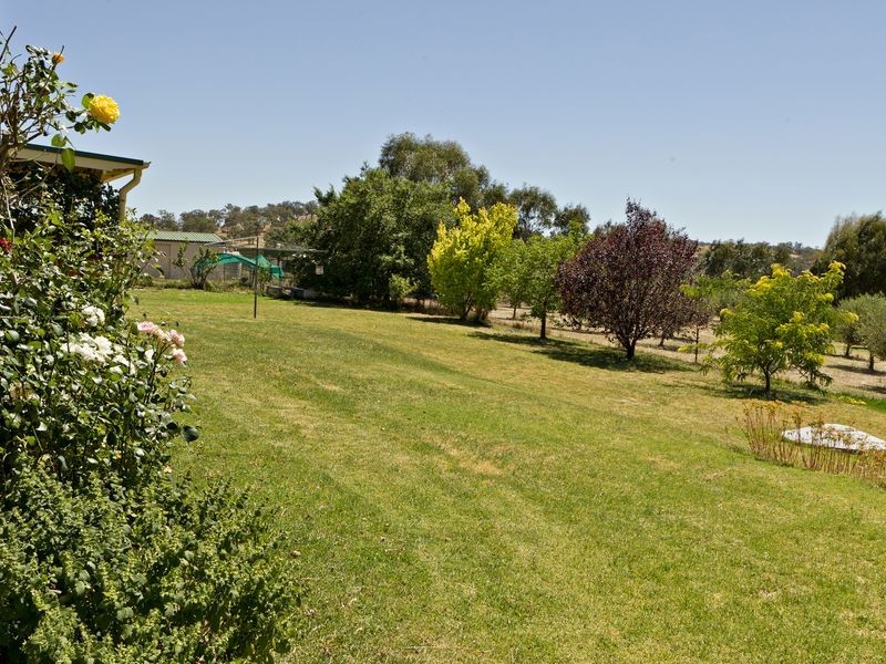 2407 Murringo Road, Young NSW 2594