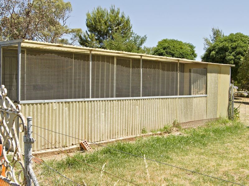 2407 Murringo Road, Young NSW 2594