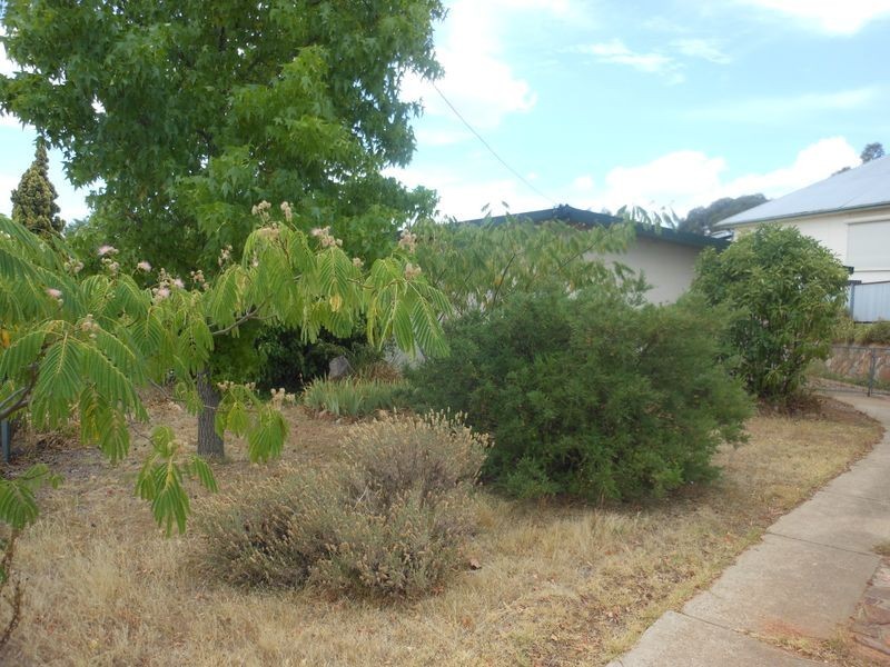 35 Nasmyth Street, Young NSW 2594