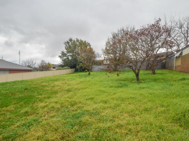 31 Hardy Avenue, Young NSW 2594