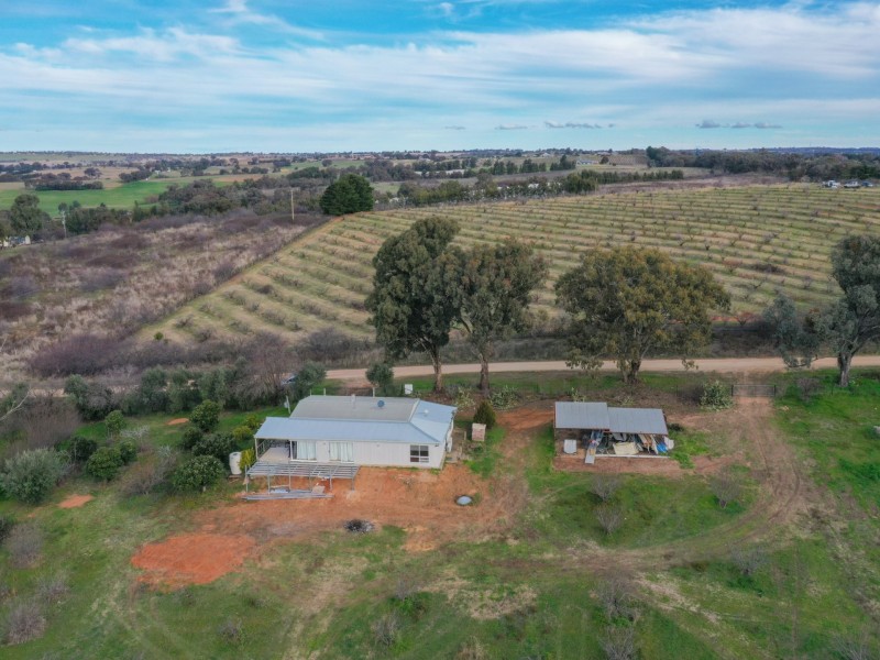 9 Heeley’s Lane, Young NSW 2594