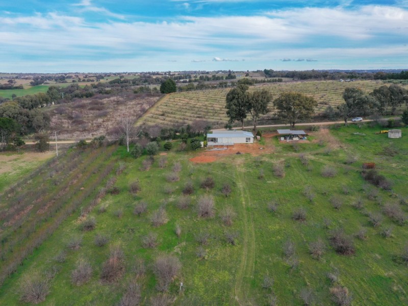 9 Heeley’s Lane, Young NSW 2594