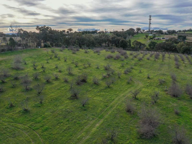 9 Heeley’s Lane, Young NSW 2594