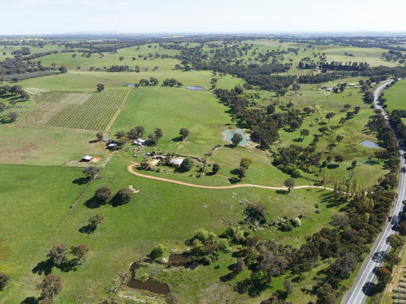 3637 Olympic Highway, Young NSW 2594