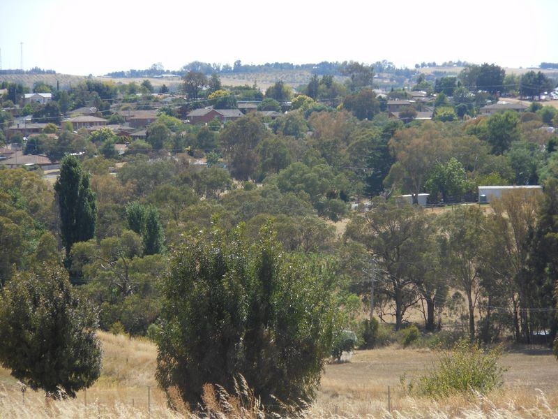 22 Goldview Heights Estate, Young NSW 2594