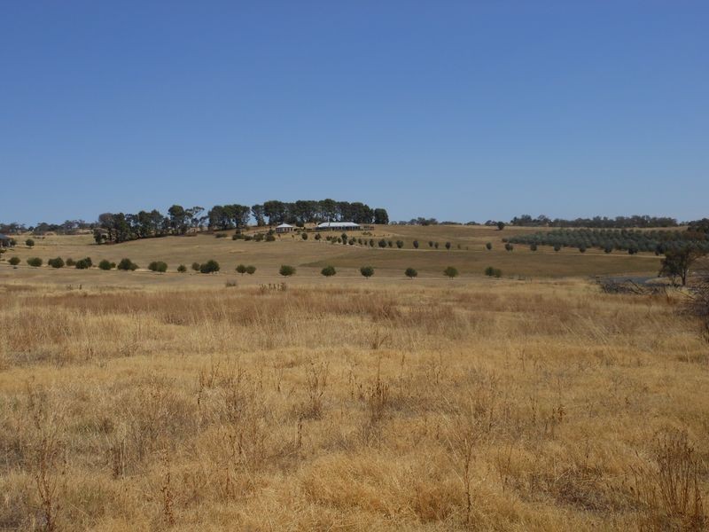 22 Goldview Heights Estate, Young NSW 2594