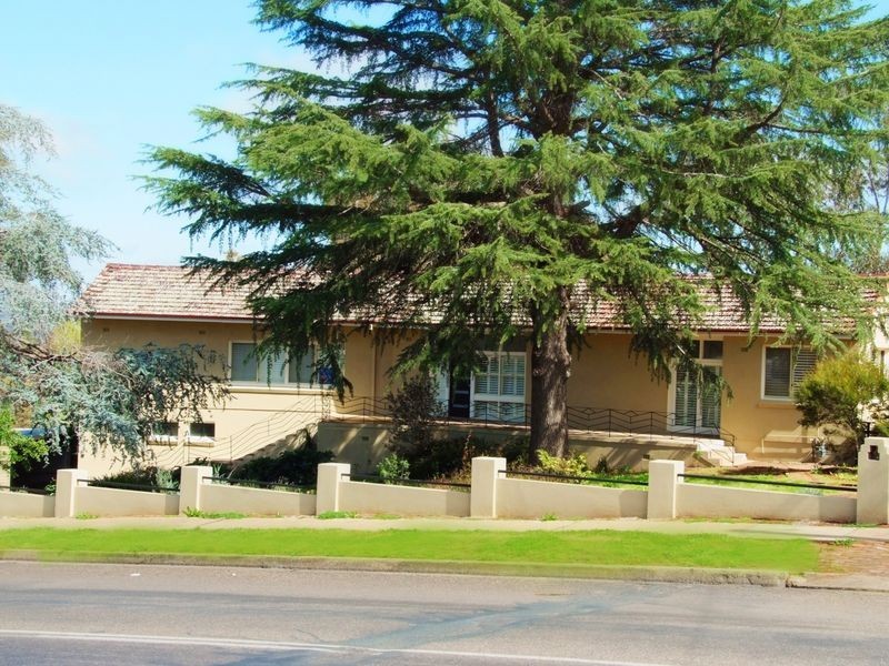 37 Elizabeth Street, Young NSW 2594