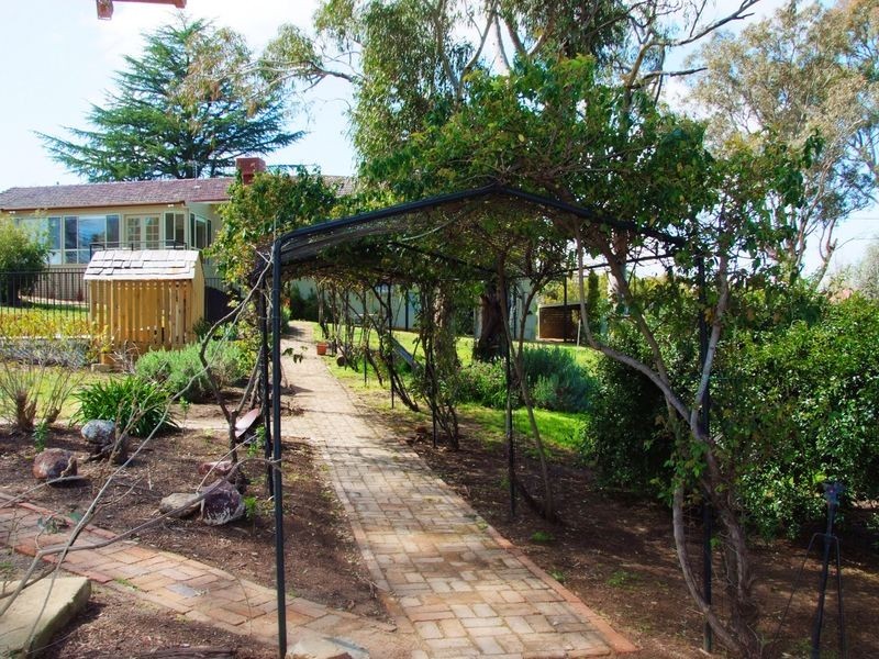 37 Elizabeth Street, Young NSW 2594