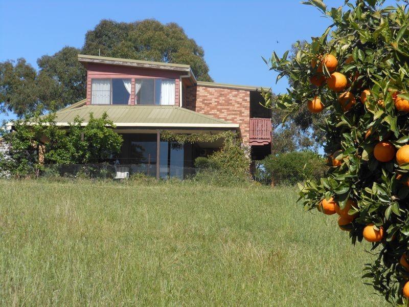149 Chums Lane, Young NSW 2594