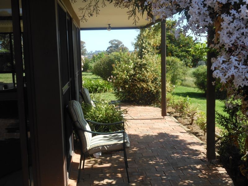 149 Chums Lane, Young NSW 2594