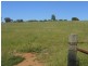 149 Chums Lane, Young NSW 2594