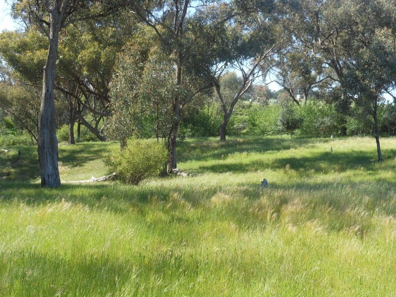 149 Chums Lane, Young NSW 2594