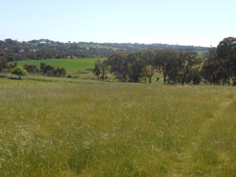 149 Chums Lane, Young NSW 2594