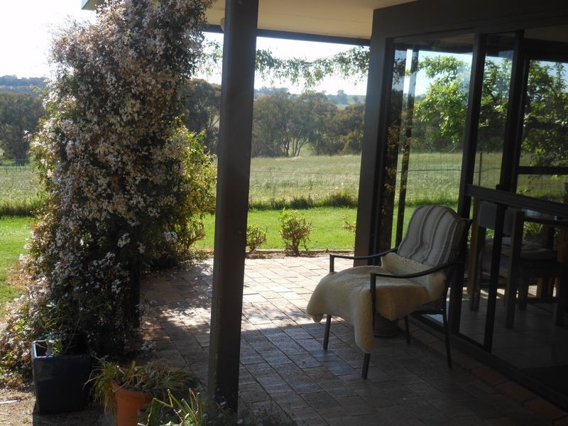 149 Chums Lane, Young NSW 2594