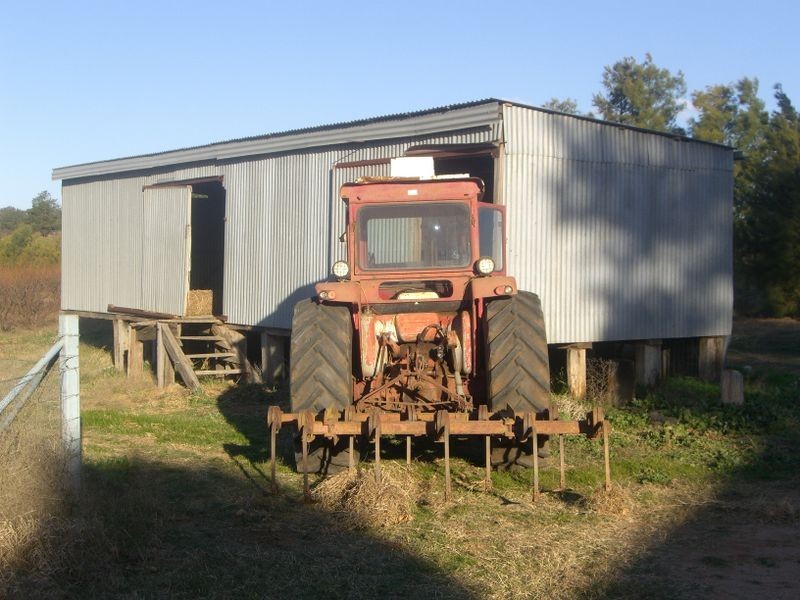 5 Pine Rd, Young NSW 2594