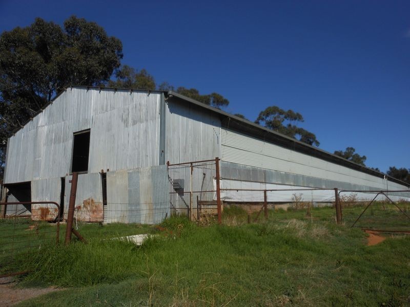 30 Tipperary Lane, Young NSW 2594