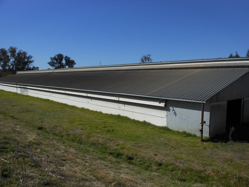 30 Tipperary Lane, Young NSW 2594