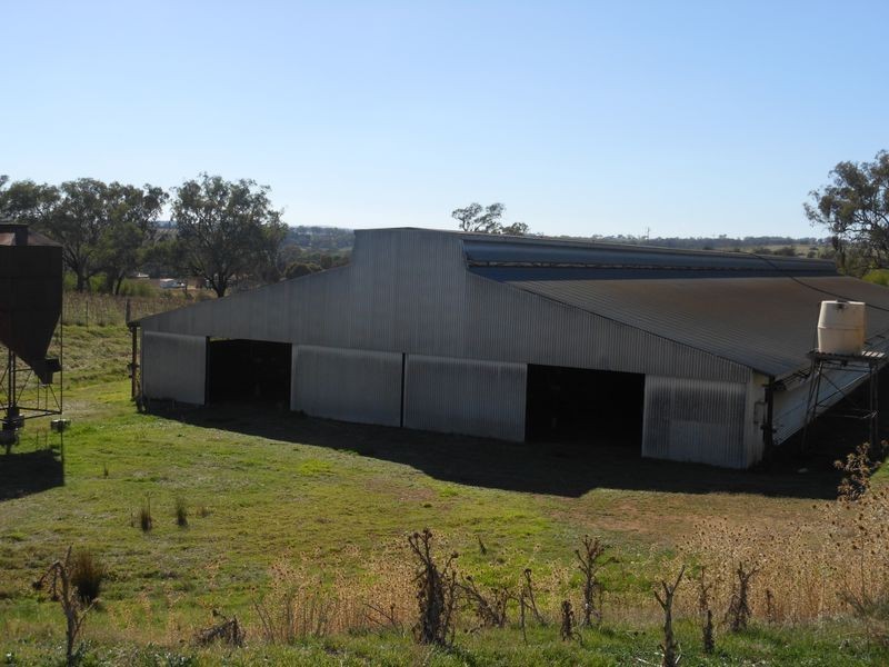 30 Tipperary Lane, Young NSW 2594