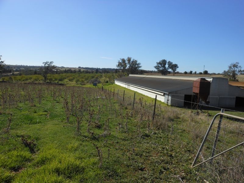 30 Tipperary Lane, Young NSW 2594