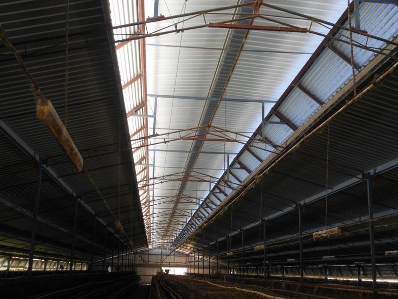 30 Tipperary Lane, Young NSW 2594