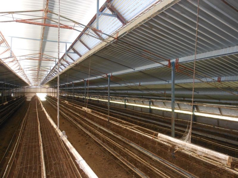 30 Tipperary Lane, Young NSW 2594