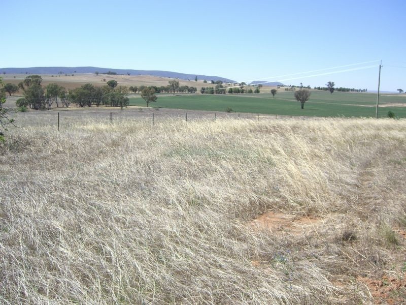 1 – 9 Wirrimah Road, Wirrimah NSW 2803