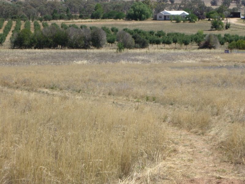 1 – 9 Wirrimah Road, Wirrimah NSW 2803