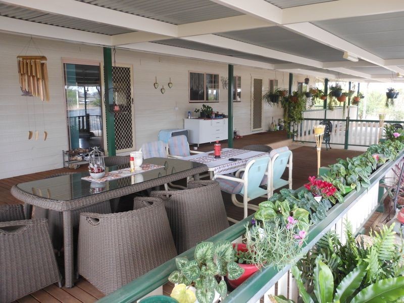 166 Chums Lane, Young NSW 2594