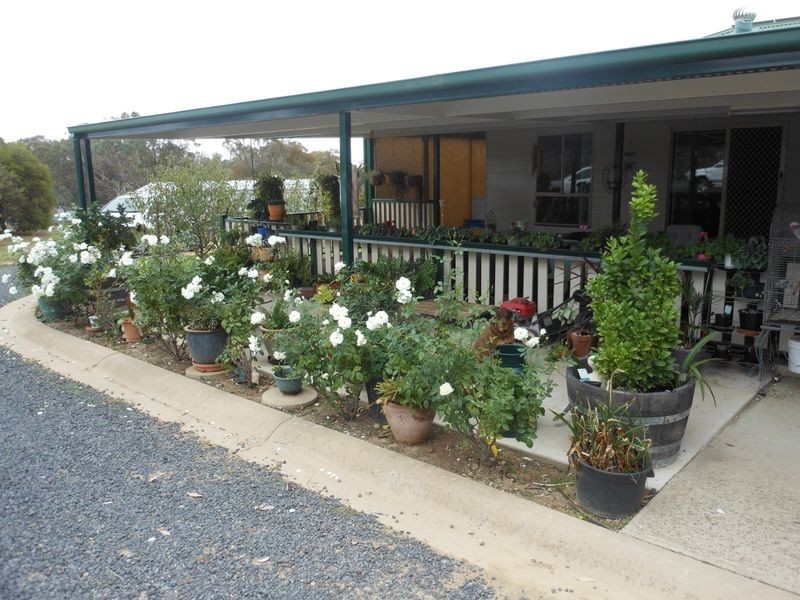 166 Chums Lane, Young NSW 2594