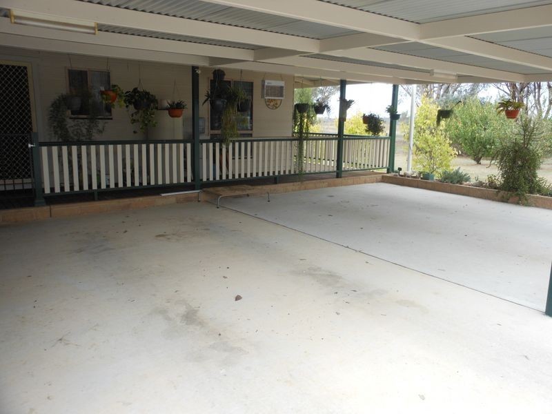 166 Chums Lane, Young NSW 2594