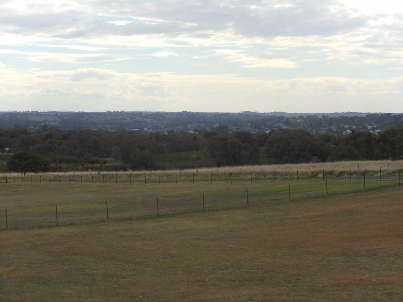 166 Chums Lane, Young NSW 2594