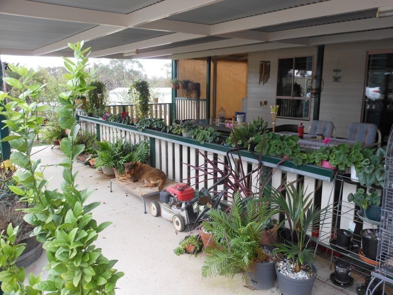 166 Chums Lane, Young NSW 2594