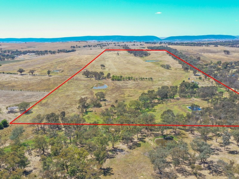 61 Sads Lane, Young NSW 2594