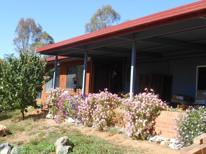 4 Tipperary Lane, Young NSW 2594