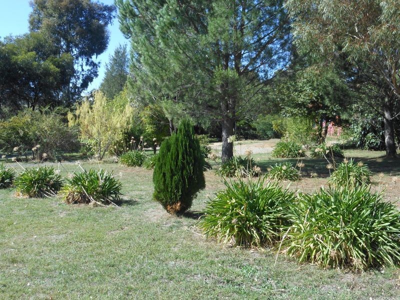 4 Tipperary Lane, Young NSW 2594