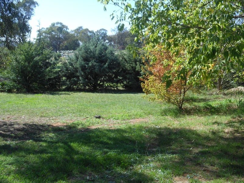 4 Tipperary Lane, Young NSW 2594